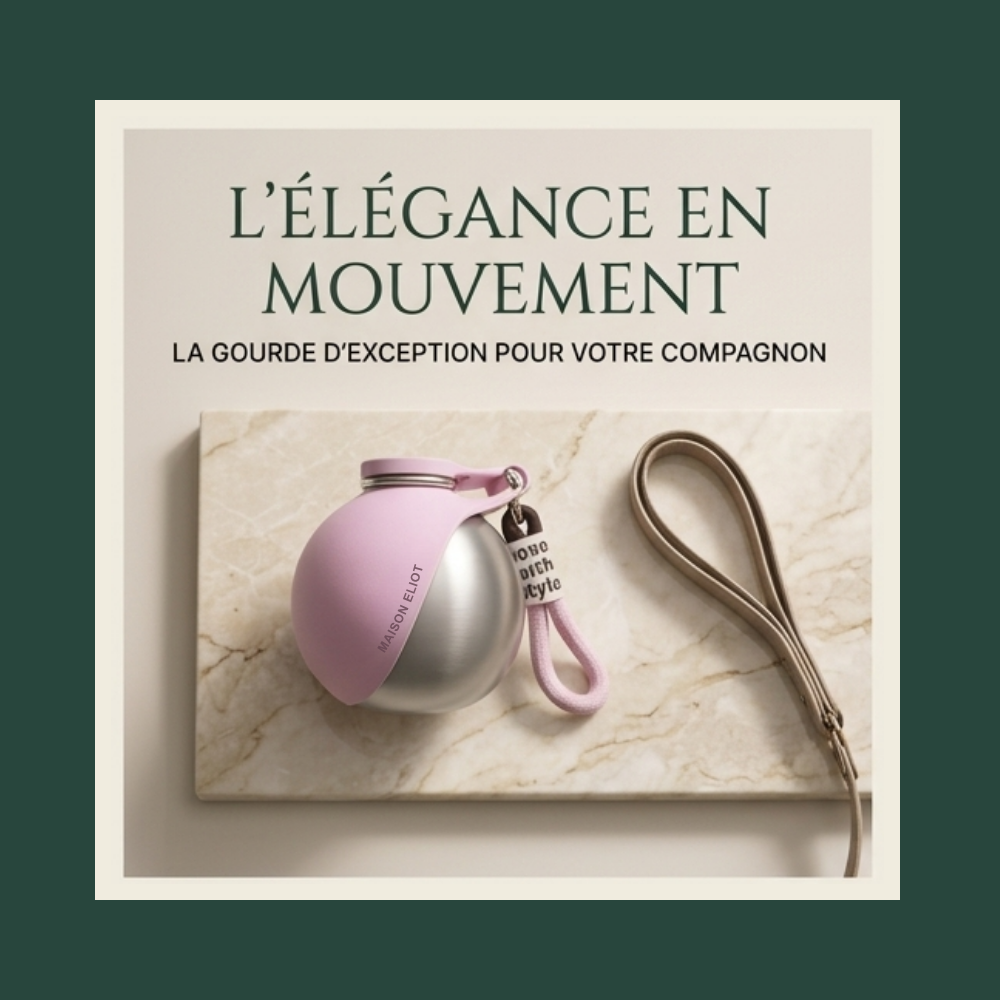 Gourde de Luxe pour Chien en Acier et Silicone | Maison Eliot